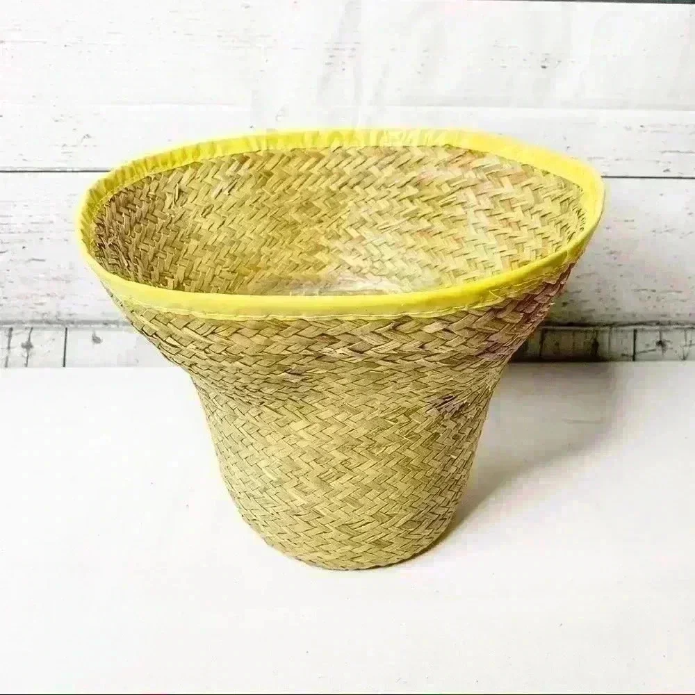 Woven Straw Vase Lined Planter Basket EUC